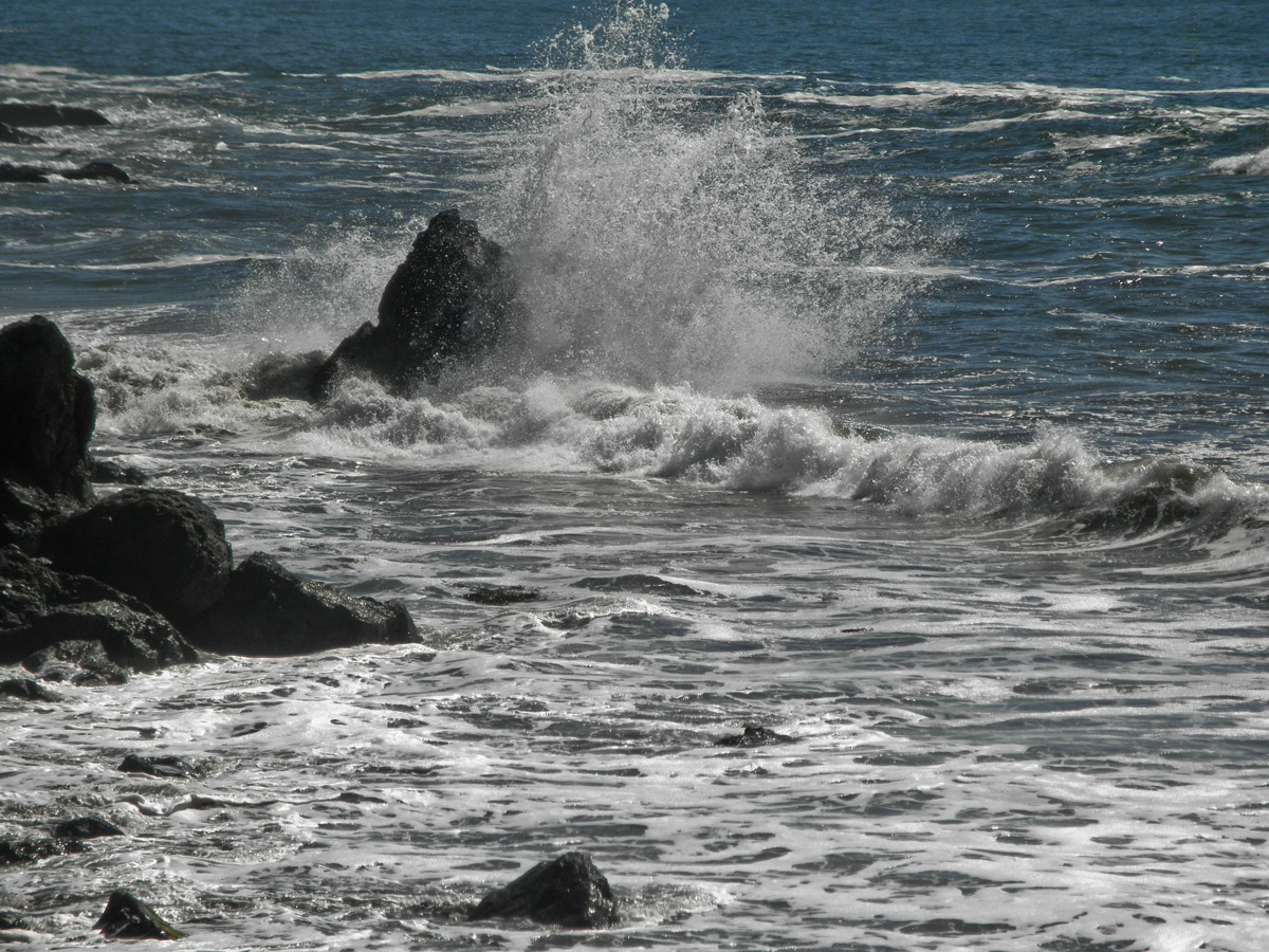 P9280006_1672